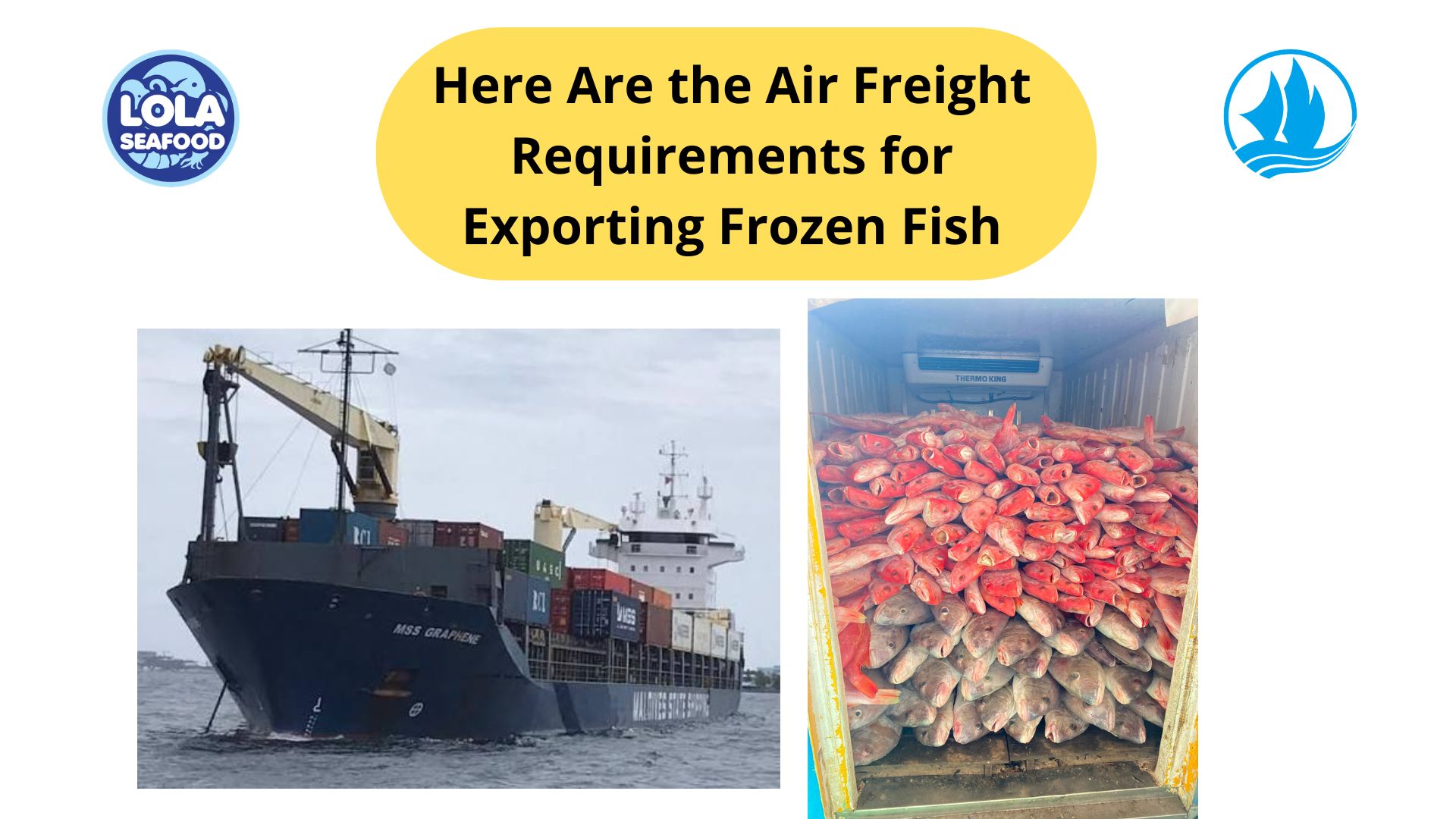  Here Are the Air Freight Requirements for Exporting Frozen Fish